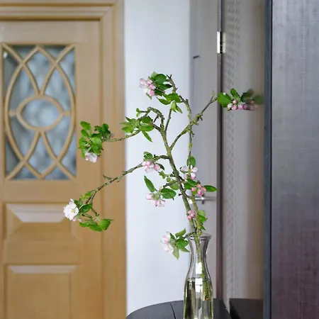 Good Stuuv * 노르덴