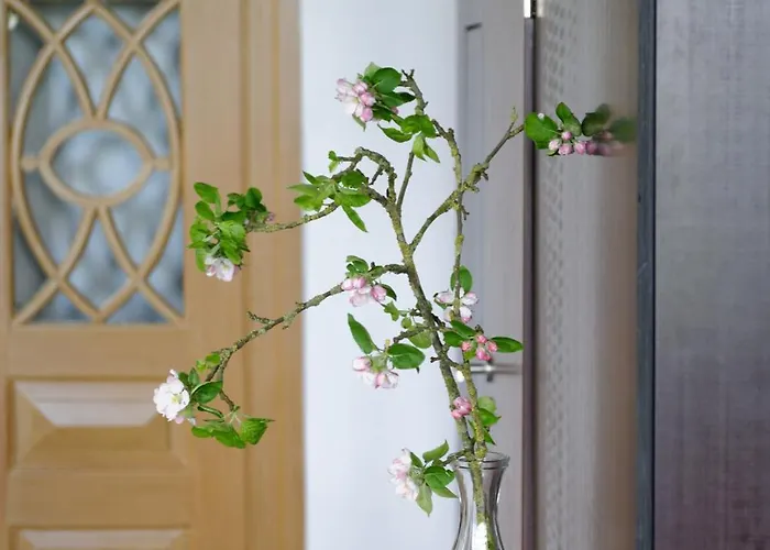 Good Stuuv * 노르덴