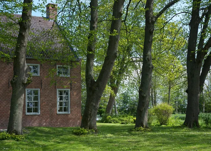 Good Stuuv 아파트